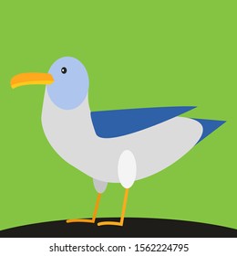 Gull, illustration, vector on white background.
