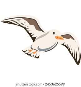 gull on a transparent background. Cartoon character on a transparent background. A separate element for your design.