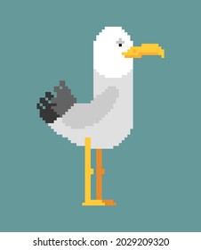 Gull pixel art. seagull 8 bit. Sea bird pixelated vector illustration. 