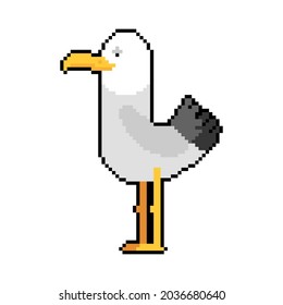 Gull pixel art. seagull 8 bit. Sea bird pixelated vector illustration. 