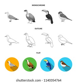 Gull, toucan and other species. Birds set collection icons in flat,outline,monochrome style vector symbol stock illustration web.