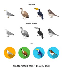 Gull, toucan and other species. Birds set collection icons in cartoon,flat,monochrome style vector symbol stock illustration web.