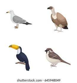 Gull, toucan and other species. Birds set collection icons in cartoon style vector symbol stock illustration web.