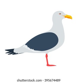 Gull vector illustration.seagull isolated on a white background
