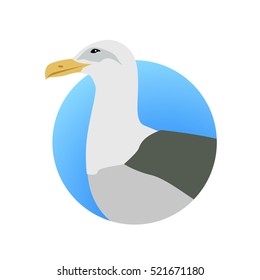 Gull vector. Sea bird wildlife in flat style design. Illustration for prints, vacation advertising, childrens books illustrating. Beautiful Seagull bird seating isolated on white.