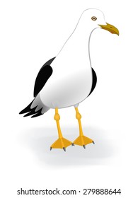 Gull vector Short tailed albatross Sea beach fauna Seagull bird with black and white plumage cartoon character Sea life theme Great for kids illustration, t shirt stamp, animal and wildlife design