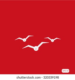 gulls