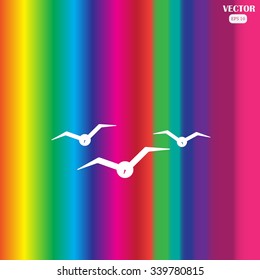 gulls