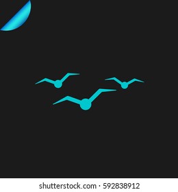 gulls