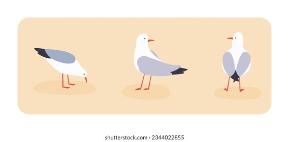 Gulls in different poses cartoon vector illustration