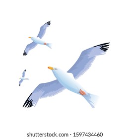 gulls flying icon over white background, colorful design, vector illustration