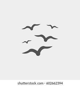 Gulls icon