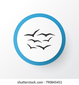 Gulls icon symbol. Premium quality isolated seagull element in trendy style.