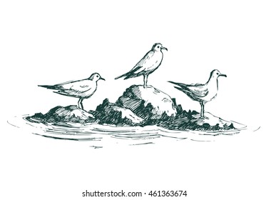 Gulls on a rock. Vector sketch.