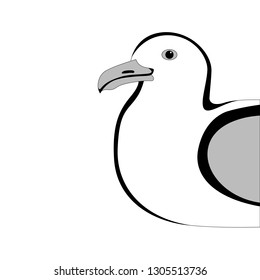 gull,vector illustration , lining draw, profile view