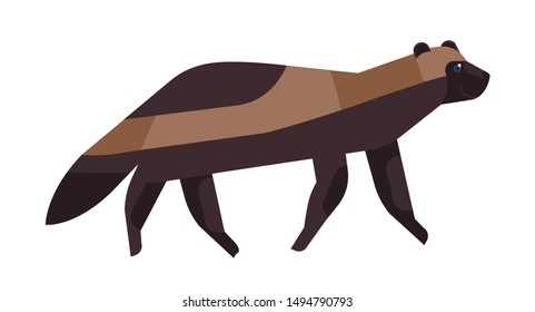 Gulo gulo flat vector illustration. Minimalist wolverine drawing. Brown glutton, carcajou, skunk bear, quickhatch endangered species clipart. Wild animal, wolverene isolated on white background.