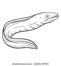 Gulper Eel Line Art Illustration, Pelican Eel