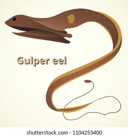 Gulper Eel Is Monster In Deep Sea. It Is Large Mouth And Long Body. The Mouth And Can Be Opened Wide Enough To Swallow A Fish Much Larger Than Itsel.