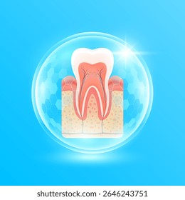 Gengiva e dentes com nervos em cúpula de bolha hexagonal transparente moderno em fundo azul. Órgão dentário humano forte e saudável. Cuidados médicos e proteção do dentista. Vetor 3D EPS10.