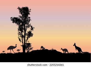 árbol de goma con kangaroos emus y kookaburra en árbol y fondo de puesta de sol. Escena de Australia