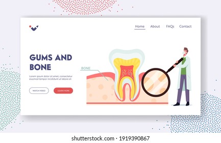 Gums and Bone Landing Page Template. Tiny Dentist Male Doctor Character with Huge Tooth Magnifier Look on Cross Section Infographics. Healthy Teeth Anatomy and Structure. Cartoon Vector Illustration