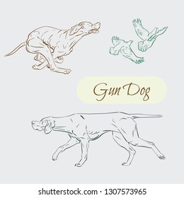 Gun Dog. Set of vector hand drawn illustrations