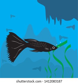 guppy fish black vector in the deep river