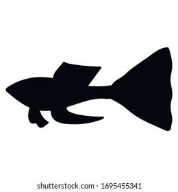 Guppy fish flat silhouette vector icon