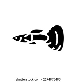guppy fish glyph icon vector. guppy fish sign. isolated symbol illustration
