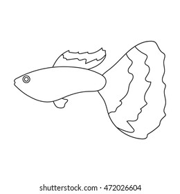 Guppy fish icon line. Singe aquarium fish icon from the sea,ocean life collection.