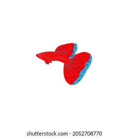 Guppy fish illustration design,can use for various purpose.