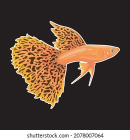 guppy fish illustration orange color for logo or design your animal. vector simple on black background