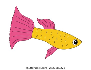 Guppy-Fisch einzeln auf weißem Hintergrund