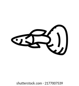 vector de icono de la línea de pez guppy. signo de pez perrito. símbolo de contorno aislado ilustración negra
