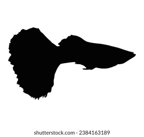 Guppy fish logo design silhouette.