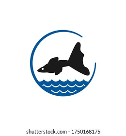 guppy fish vector design template illustration