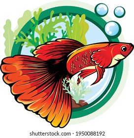 Guppy fish vector logo and illustration