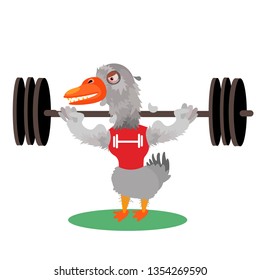 Gus loves iron