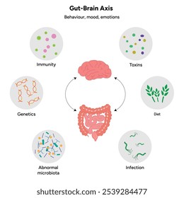 Gut brain axis, nervous system in human body small and large intestine. Behavior mood and emotional 