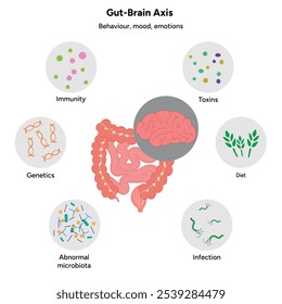 Eixo do cérebro intestinal, sistema nervoso no intestino delgado e grosso do corpo humano. Comportamento, humor e emocional 