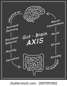 Afiche vertical de AXIS Cerebro. Infografía médica. Conexión de órganos internos humanos. Ilustración vectorial en colores monocromos. Estilo de contorno moderno. Medicina, salud, concepto científico