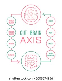 Afiche vertical de AXIS Cerebro. Infografía útil. Conexión de órganos internos humanos. Ilustración vectorial editable. Estilo de contorno moderno. Medicina, salud, concepto científico