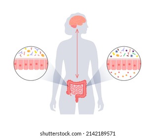 Gut brain connection, dysbiosis concept. Microbiome in the human body. Signals from brain to the digestive tract. Enteric nervous system, intestine anatomy. Colon and cerebrum flat vector illustration