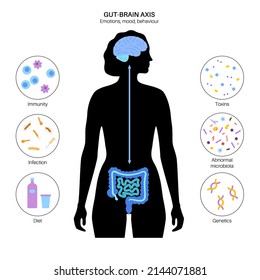 Gut brain connection, dysbiosis concept. Microbiome in the human body. Signals from brain to the digestive tract. Enteric nervous system, intestine anatomy. Colon and cerebrum flat vector illustration