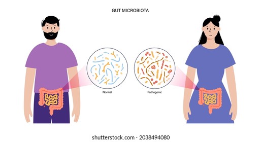 Gut brain connection, human microbiome. Gastroenterology clinic. Enteric nervous system, small and large intestine. Signals from brain to digestive tract. Colon, bowel and cerebrum vector illustration