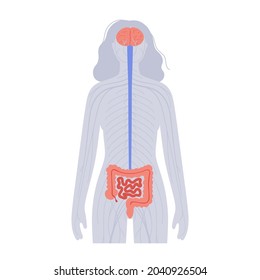 Gut brain connection and microbiome concept. Enteric nervous system in human body, small and large intestine. Signals from brain to digestive tract. Colon, bowel and cerebrum flat vector illustration