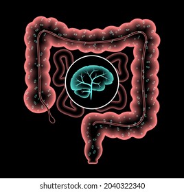 Gut brain connection and microbiome. Enteric nervous system in human body, small and large intestine. Signals from brain to digestive tract. Colon, bowel and cerebrum 3d realistic vector illustration.