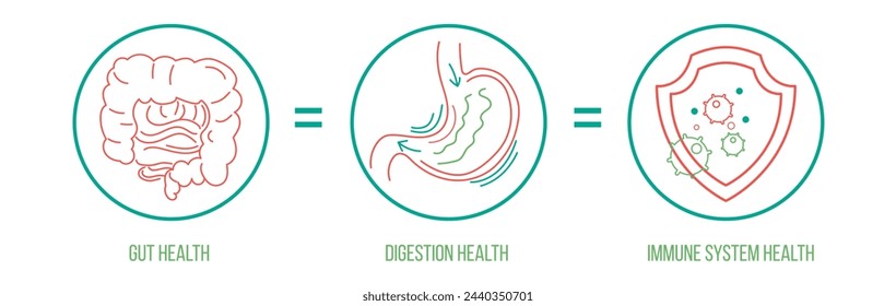 Afiche del paisaje de salud del sistema inmunológico. Infografía útil. Conexión de órganos internos humanos. Ilustración vectorial editable. Estilo de contorno moderno. Imagen médica, sanitaria, científica