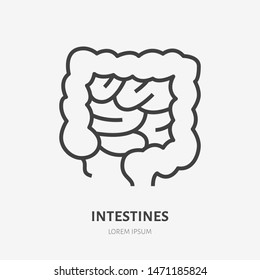 Gut flat line icon. Vector thin pictogram of human internal organ, intestines outline illustration for medical clinic.