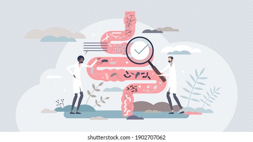 Gut flora or digestive tract microorganism diagnosis tiny person concept. Medical stomach inspection by gastroenterologist doctor for patient with bowel or intestine canal problems vector illustration